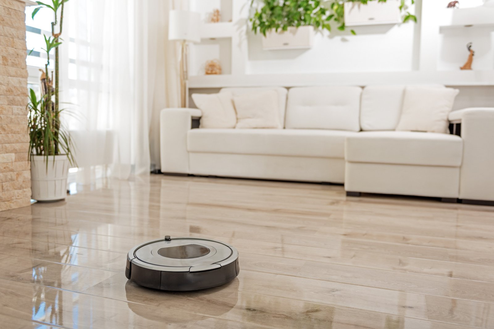 Read more about the article 5 Best Robot Vacuum Cleaners: Top Picks for 2024